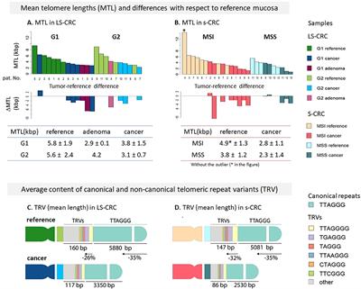 Telomere Length Maintenance and Its Transcriptional Regulation in Lynch Syndrome and Sporadic Colorectal Carcinoma